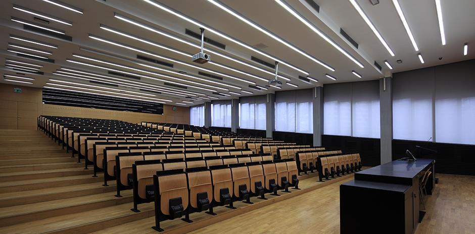 Limyè lineyè (22) .jpg